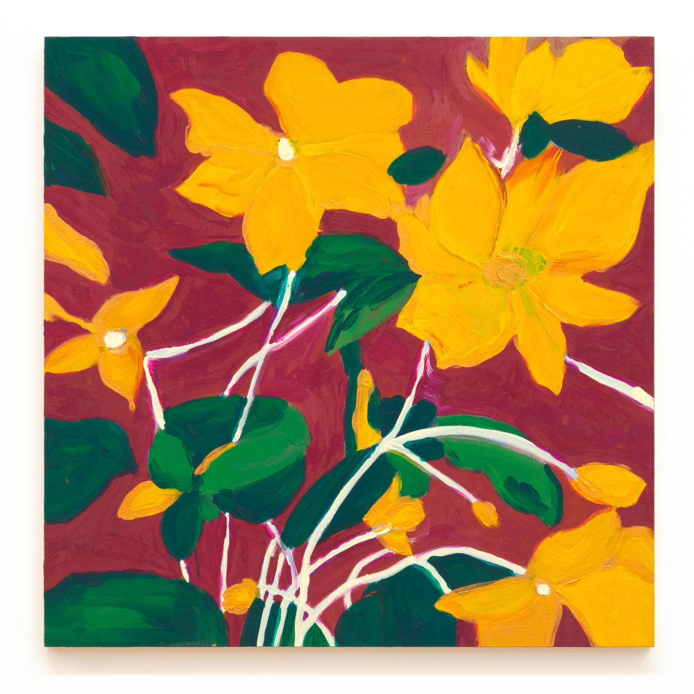 Negin Dastgheib, Sun Dragons, 2020