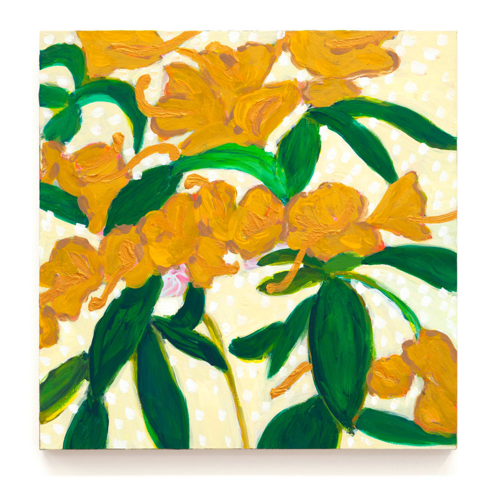 Negin Dastgheib, Mandarin Skins, 2020
