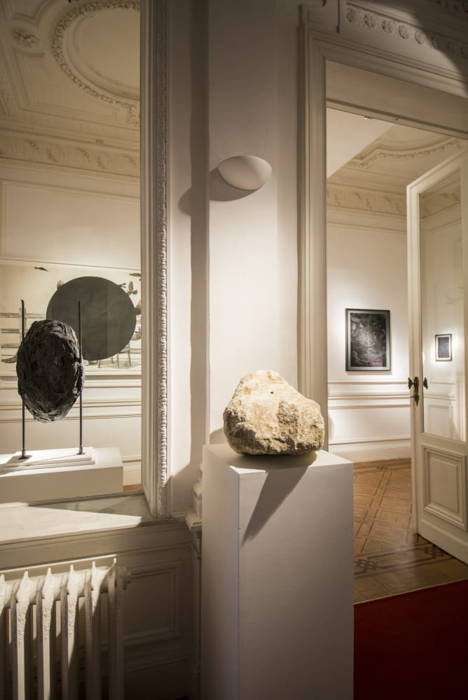 "Prememories": exhibition view Aeroplastics @ Rue Blanche, Brussels, 2016