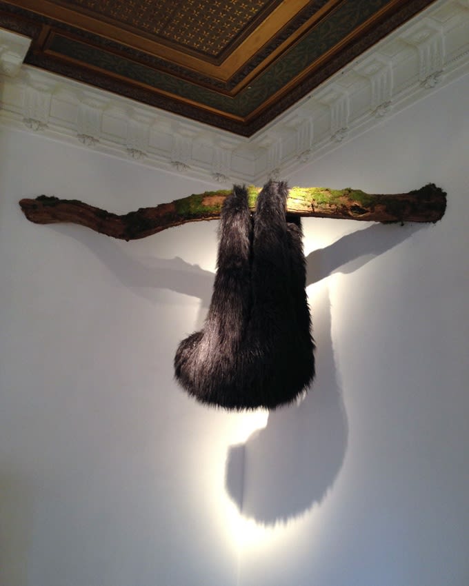 ''Elodie Antoine: Delinquescence'': exhibition view Aeroplastics @ Rue Blanche str, 2015.