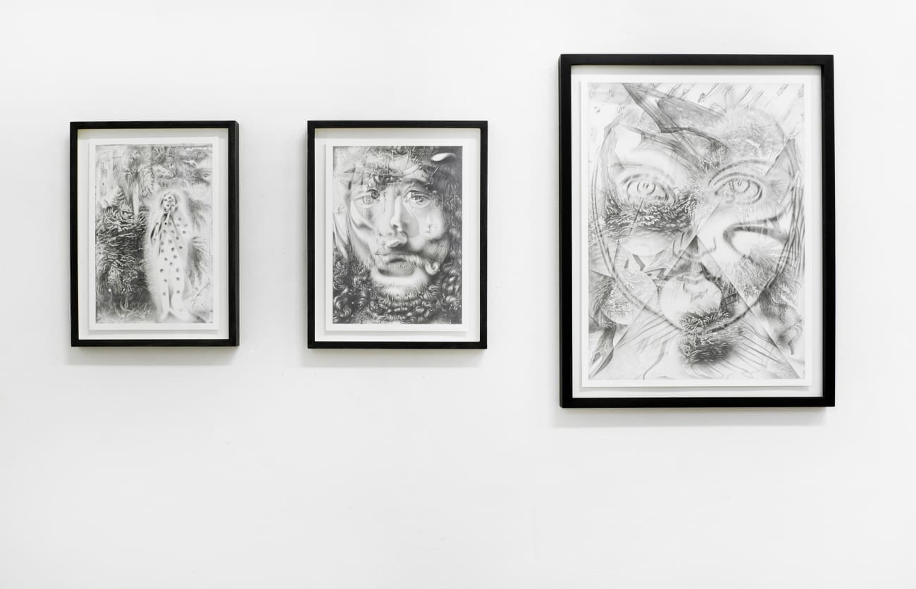 "Dennis Scholl - Les non-dupes errent' / exhibition view at Aeroplastics, Rue Blanche Str., 2013.