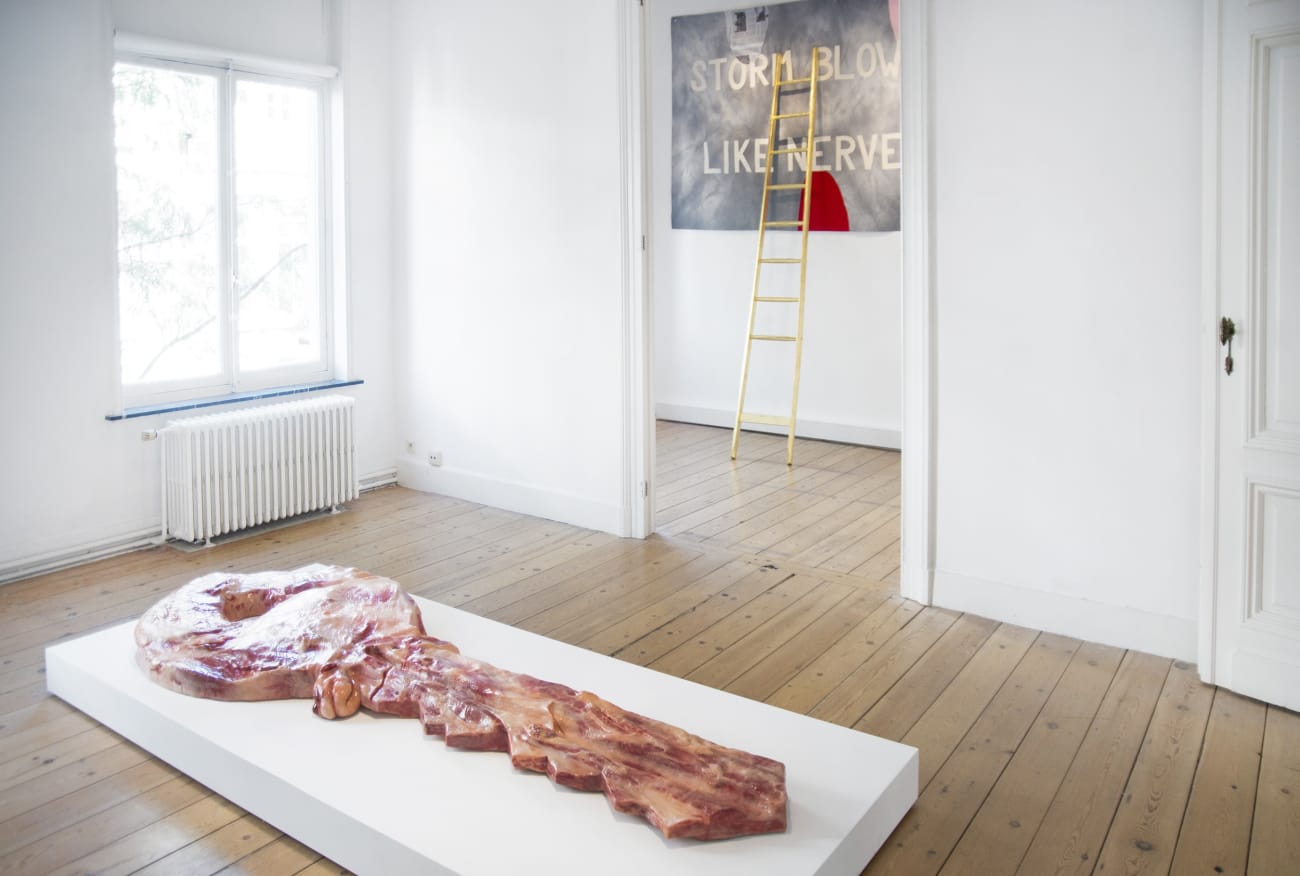 John Isaacs 'Only Words' : exhibition view Aeroplastics @ Rue Blanche, Brussels, 2016.