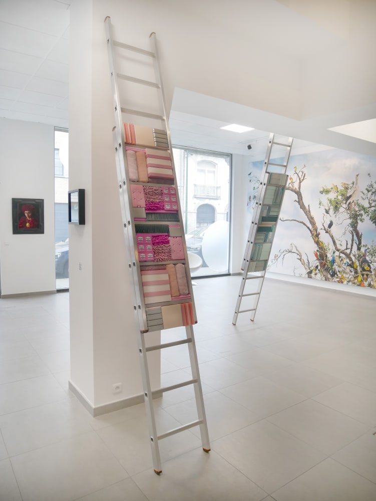 Come What May. Rebooted : installation view of the Showroom / Aeroplastics at 207VDK, 2021, Ph: © Aeroplastics / works by David NICHOLSON, Michael JOHANSSON, Leopold RABUS