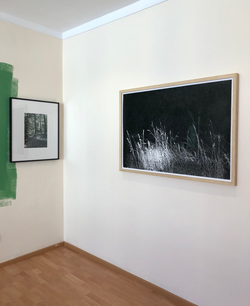 Into the Woods with John Isaacs and Sylvain Ciavaldini
