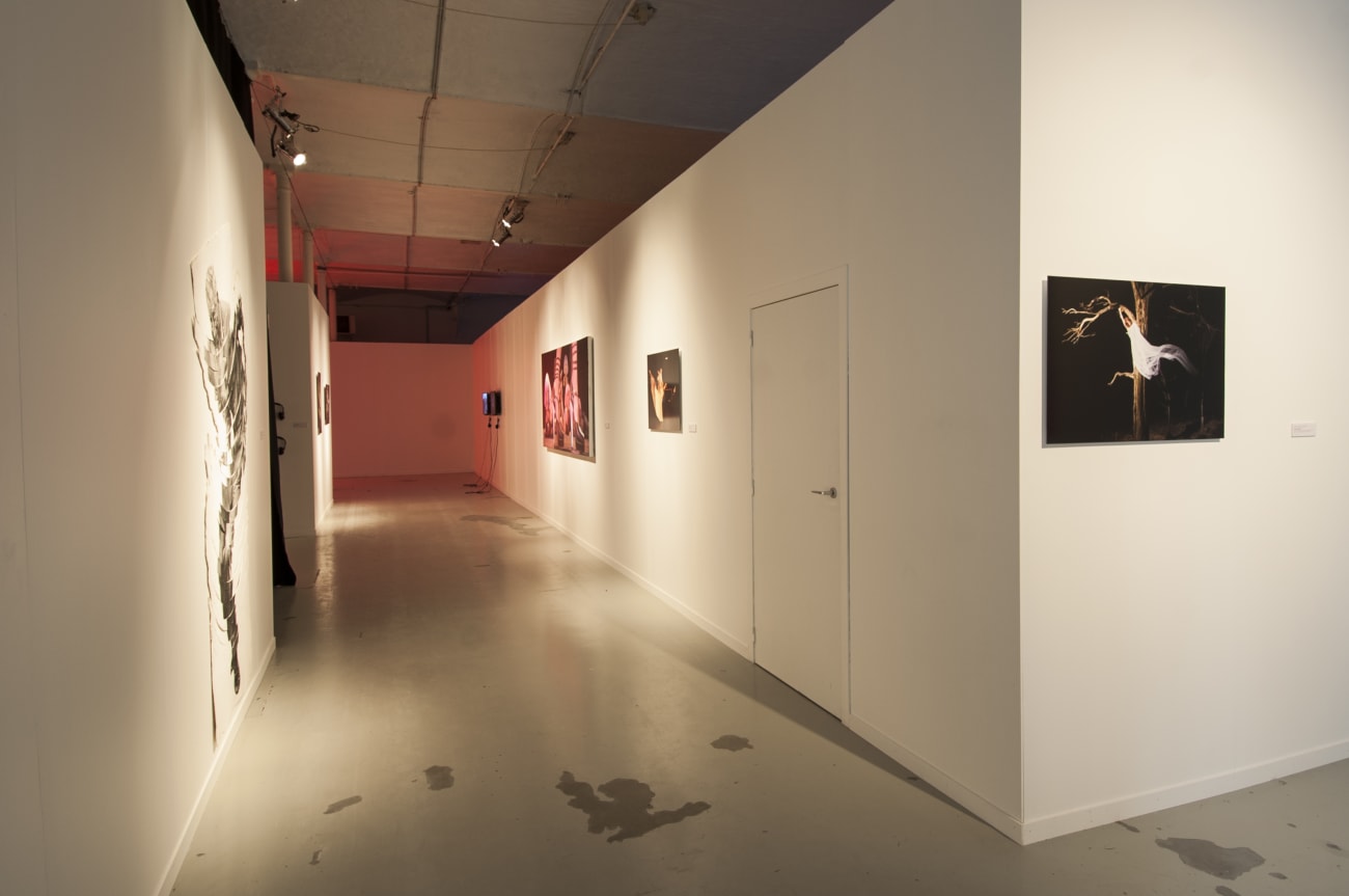 'So many steps, so little time': exhibition view De Bond, Bruges, 2016-2017
