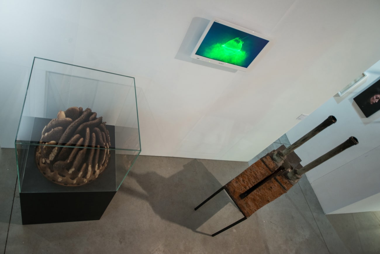 Forever / Bubox, Kortrijk, 2016 / works by Hilary BERSETH, HEHE, Tilman HORNIG ...