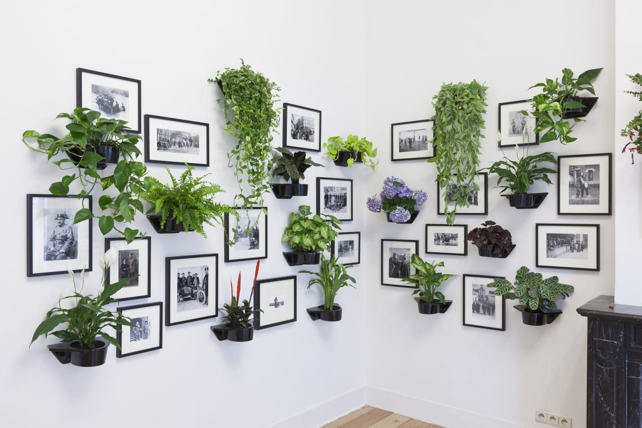 Carlos Aires 'I've got you under my skin' installation view at Aeroplastics, Rue Blanche, 2011