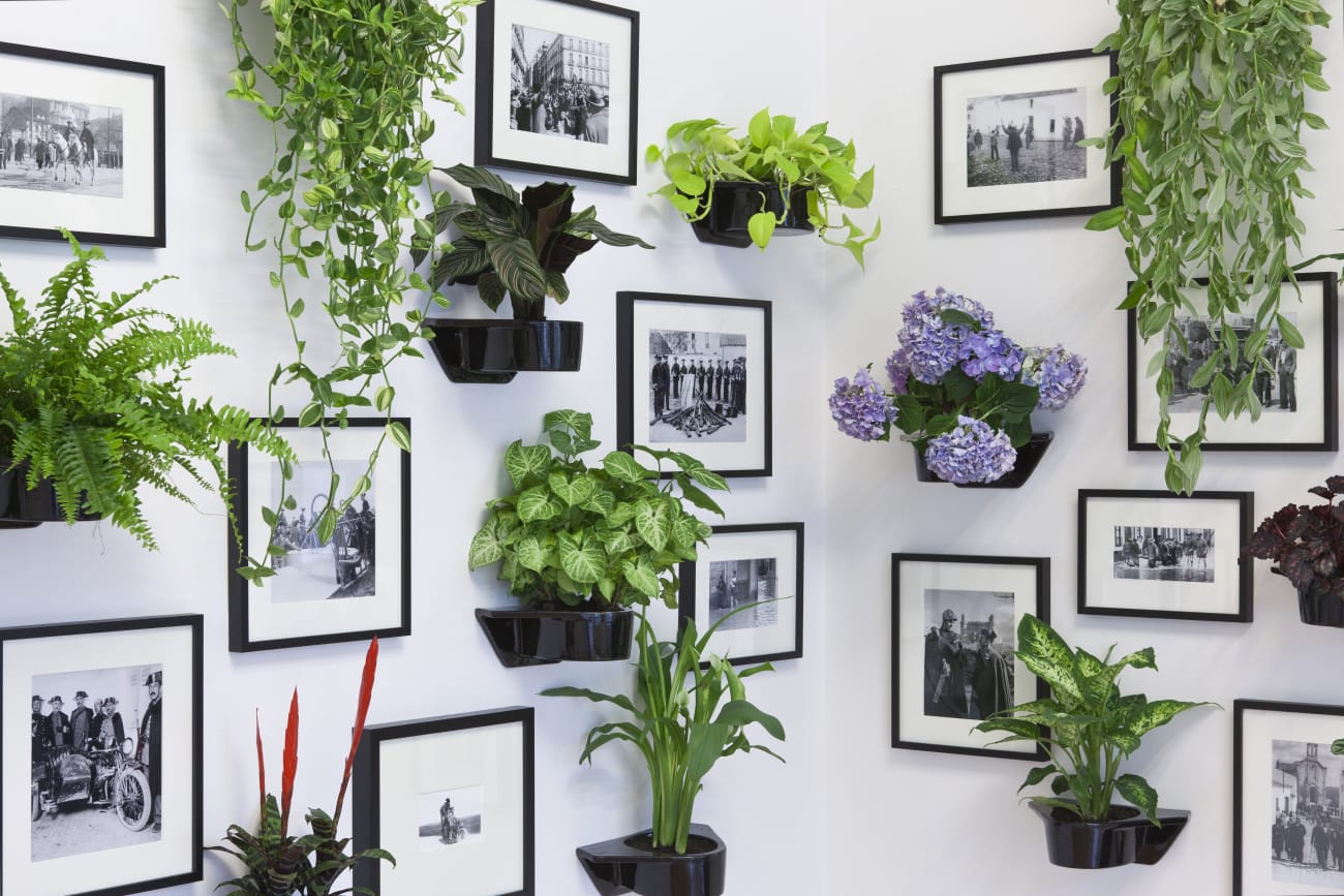 Carlos Aires 'I've got you under my skin' installation view at Aeroplastics, Rue Blanche, 2011