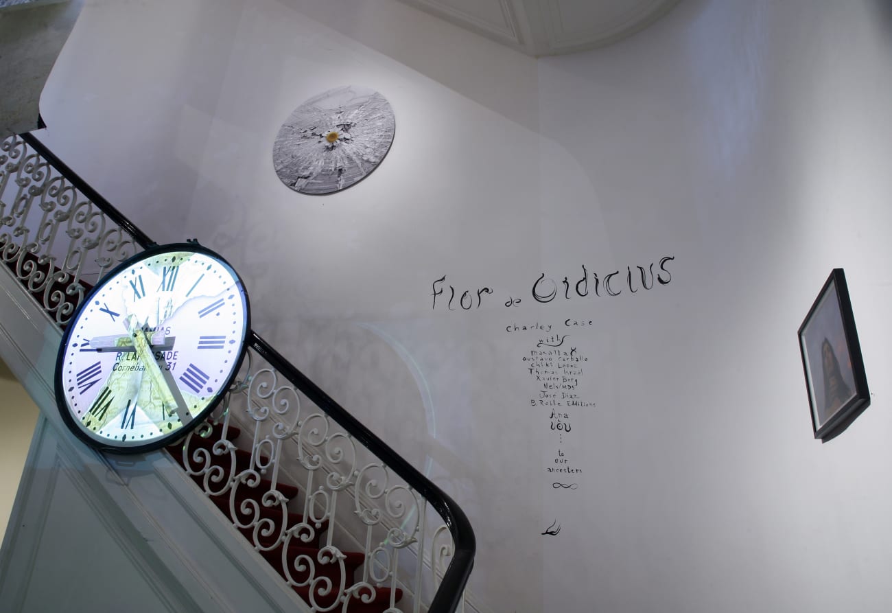 Charley Case 'La Flor de Oidicius' Charley Case & others, group show at Aeroplastics, Rue Blanche, 2009