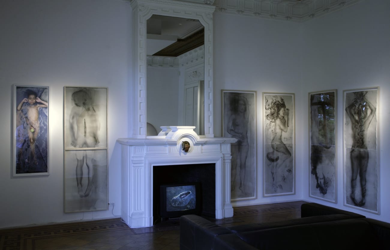 Charley Case 'La Flor de Oidicius' Charley Case & others, group show at Aeroplastics, Rue Blanche, 2009