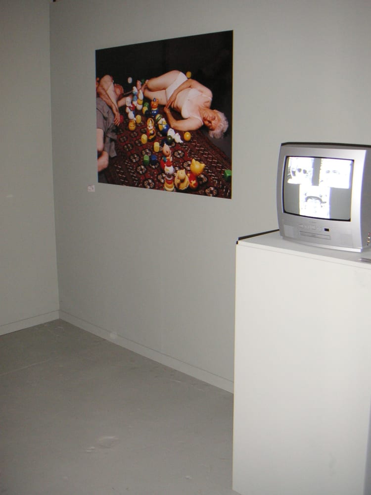 Boost in the Shell - The Pursued: exhibition view at De Bond, Bruges, 2005.