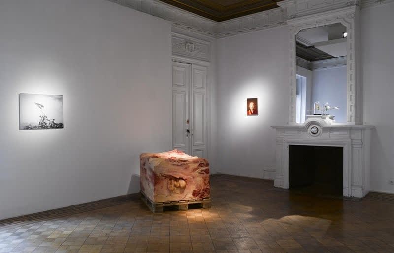 "The Remarkable Lightness of Being": exhibition view / Aeroplastics @ Rue Blanche str., 2015 / works by Robert GLIGOROV, John ISAACS, Bryan DRURY