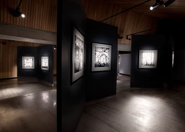 Roger Ballen, Asylum Series - Photographs, drawings, installation