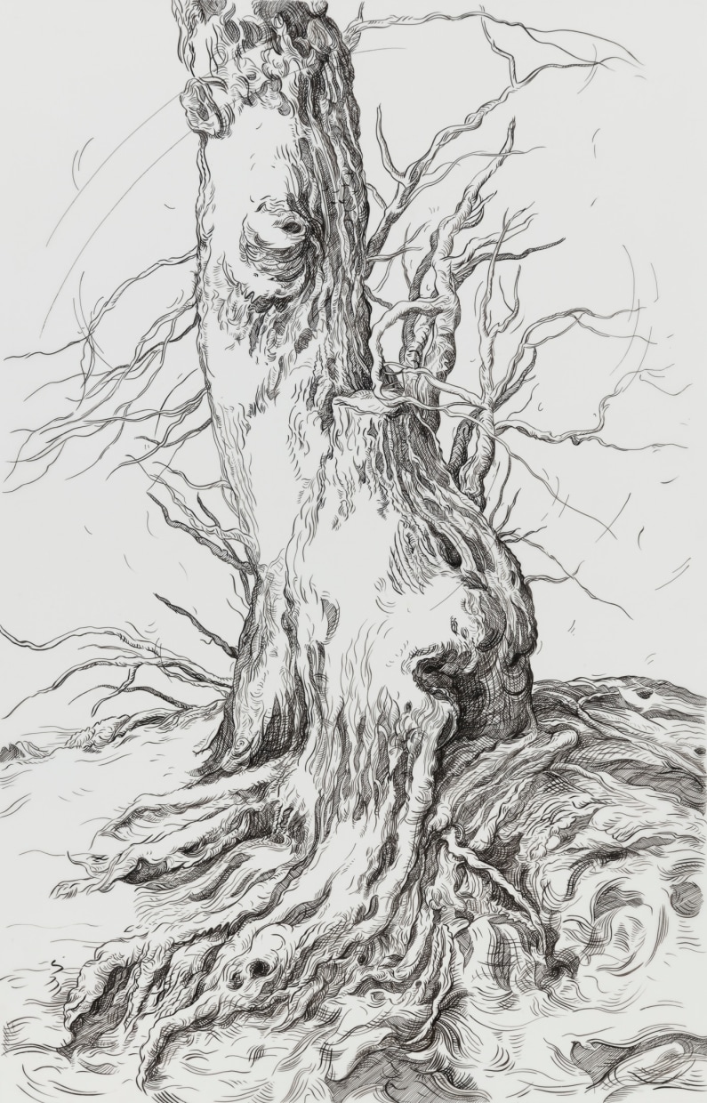 Drawing 6 (after Bloemaert)