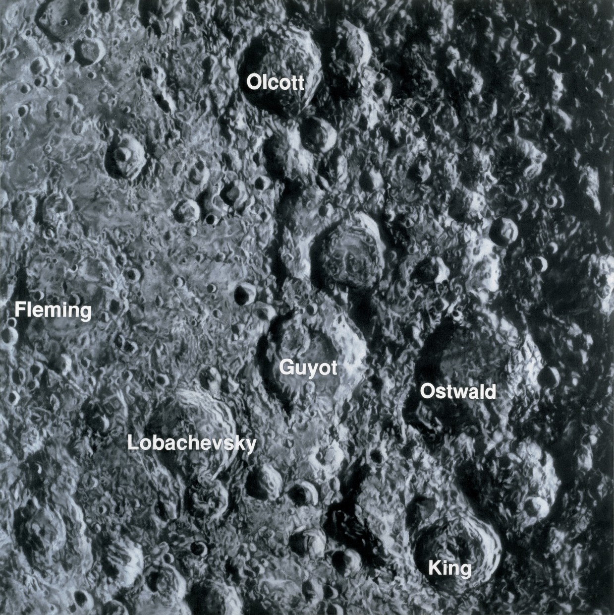 Mare Smithii