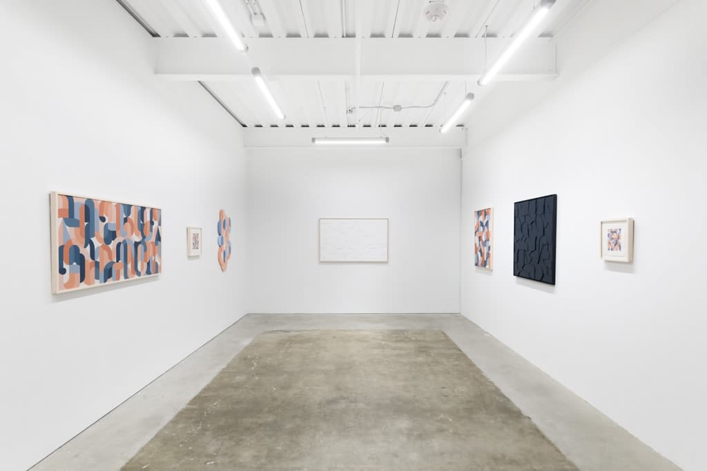 Installation view of Scott Albrecht's exhibition 