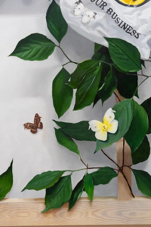 detail view of dog butterfly