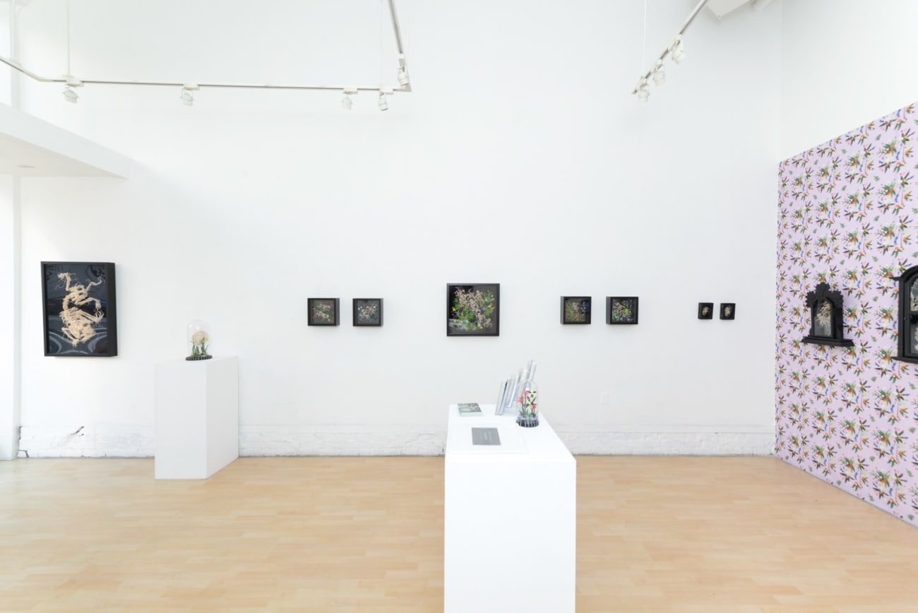 Caitlin McCormack, Helen, 2019