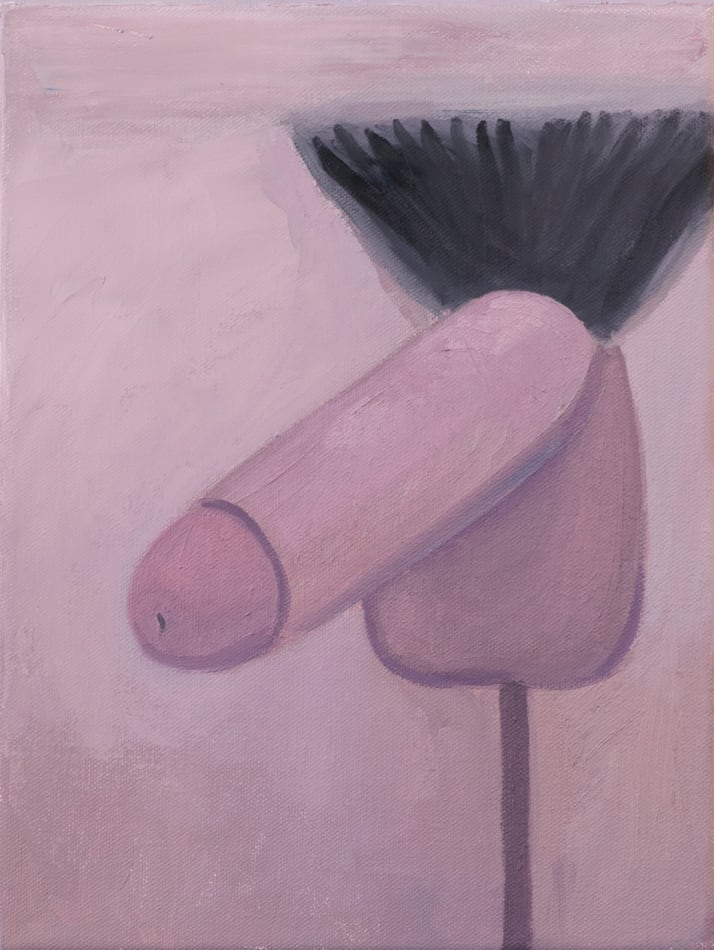 Corey K. Lamb - stylized pink penis