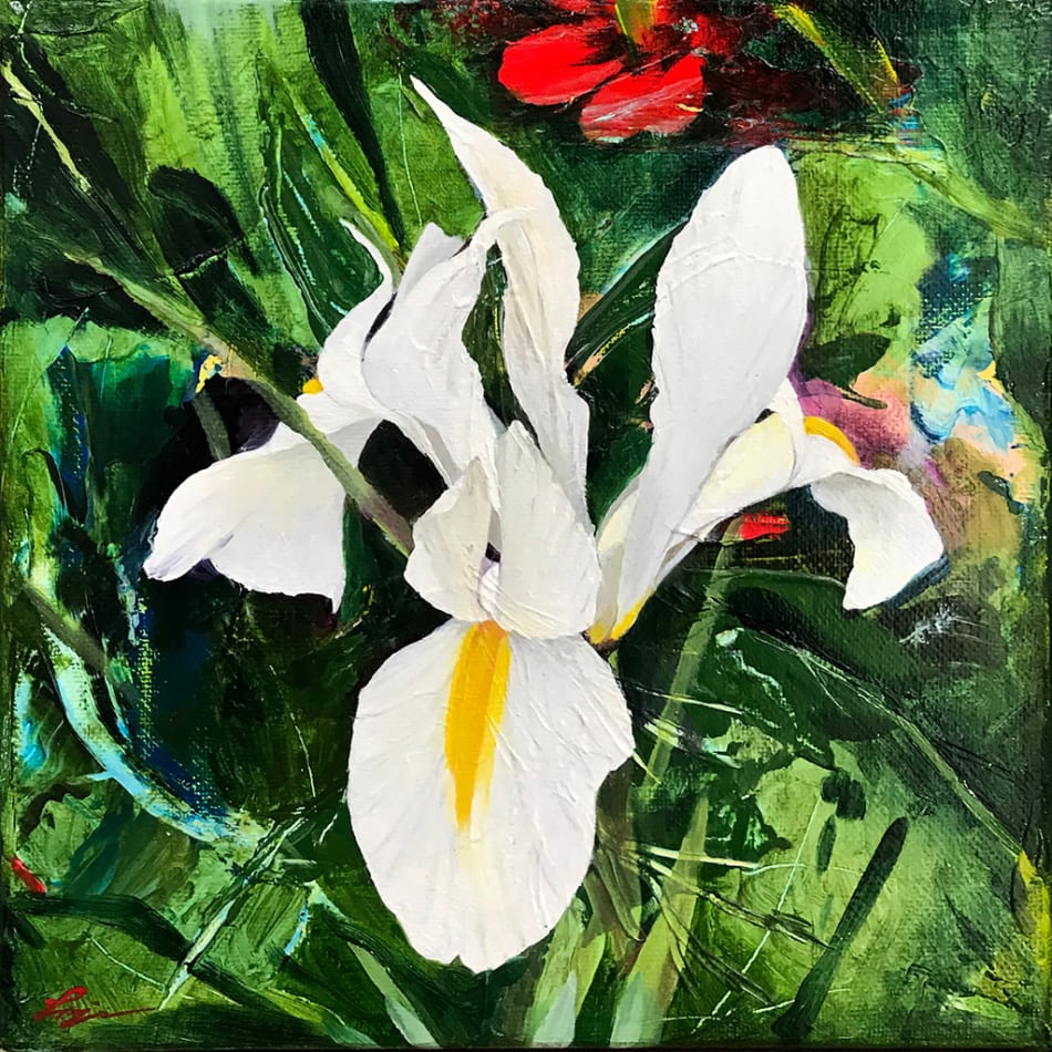 Louise Jones painting of Dutch Iris