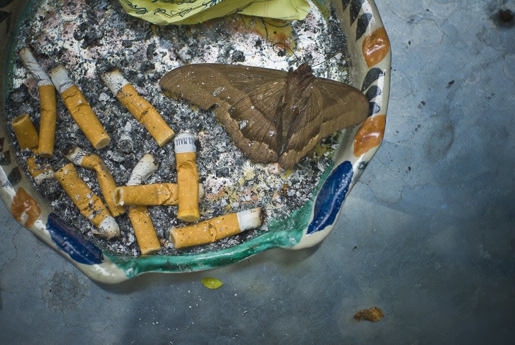 Shaun Roberts photo of cigarette butts and butterfly in ashtray