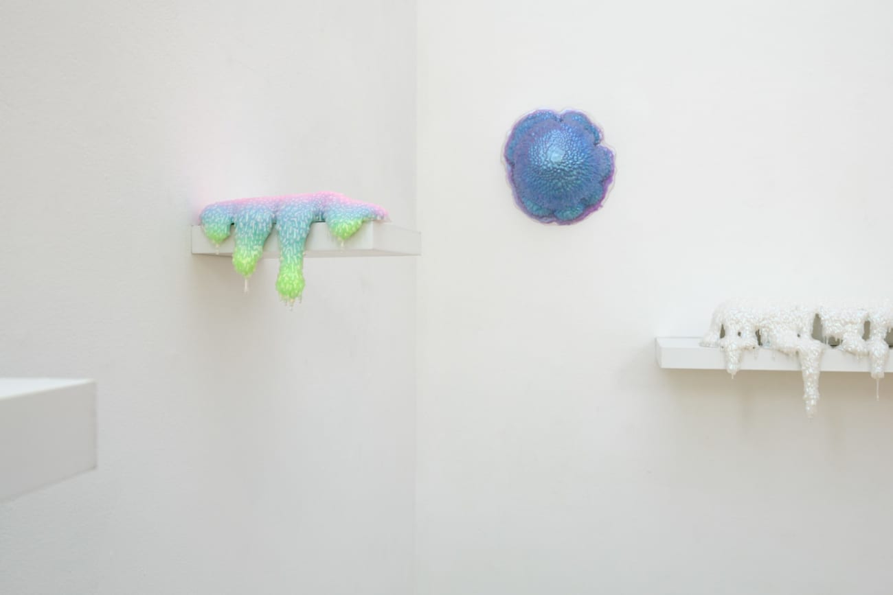 Installation shot of Dan Lam sculptures