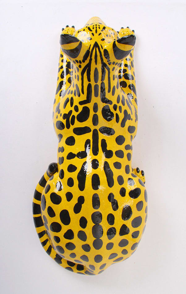 Lorien Stern, F1 Savannah Cat, 2020