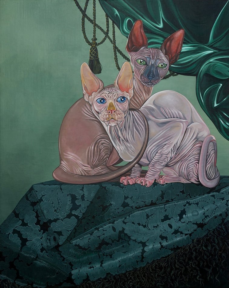 Oil painting portrait of two hair-less cats, one with blue eyes and the other with green eyes cuddling on a teal silk backdrop by Sabrina Bockler