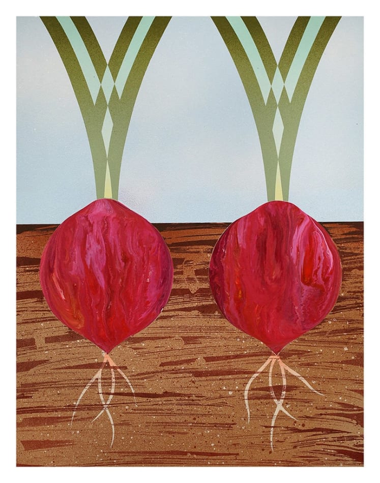 painting of two red onions in the soil