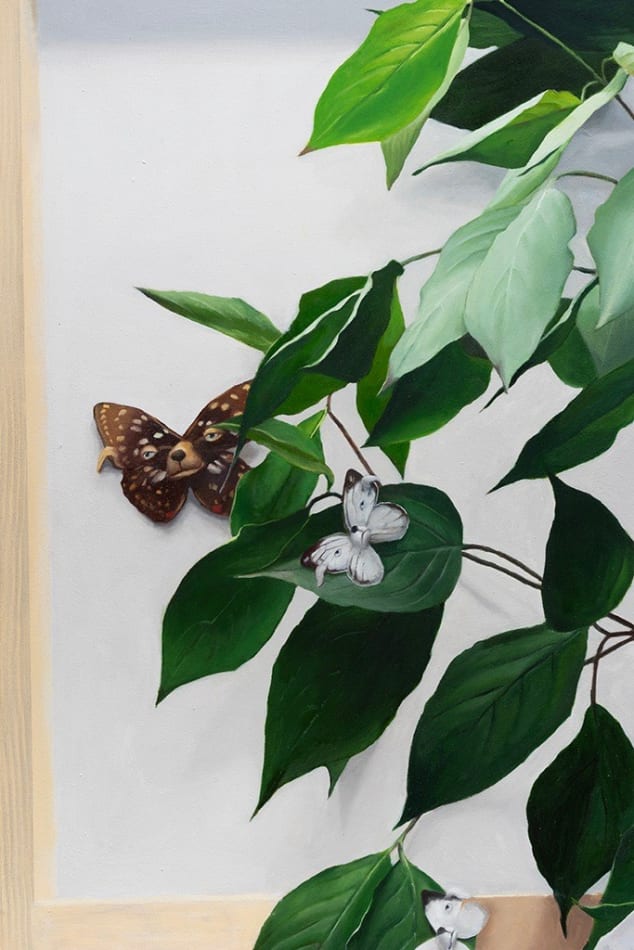 detail view of dog butterfly