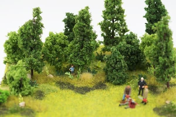 Abigail Goldman, Merry Woodsmen, 2016