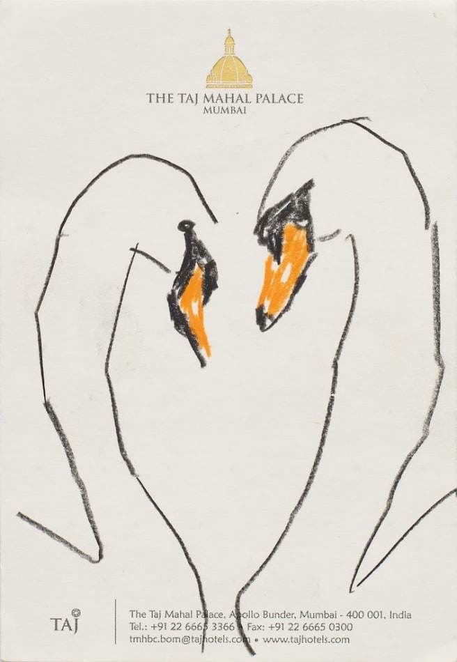 sketch of two swans facing eachother