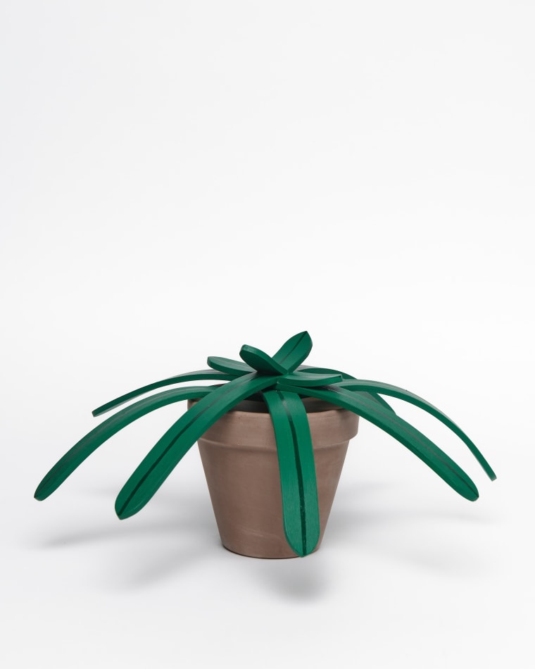 Jeff Canham's plant sculpture