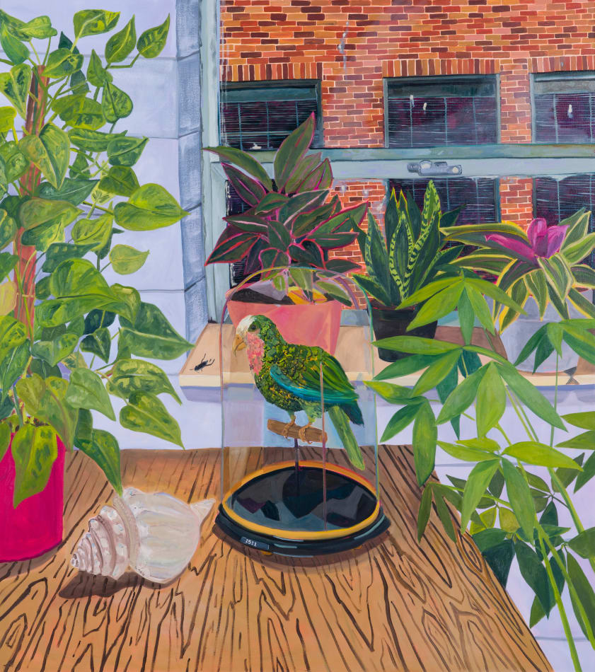 Anna Valdez, Parrot Taxidermy, 2017