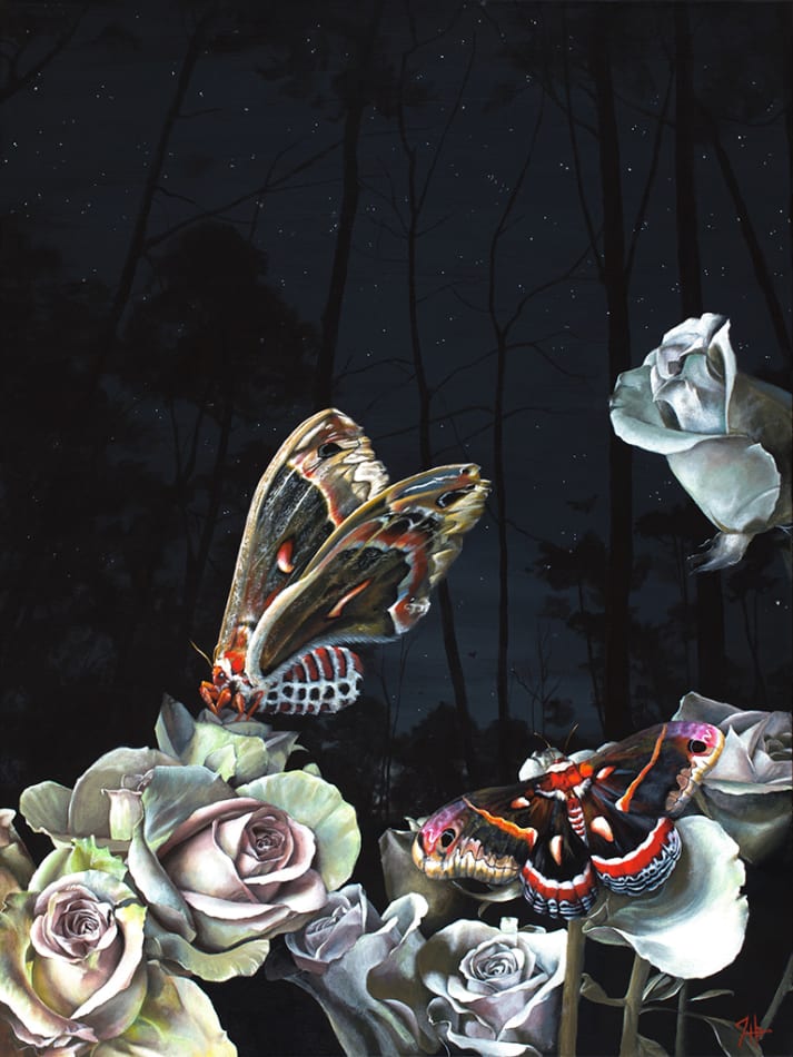Hallie Packard, Some Night in Spring, 2017