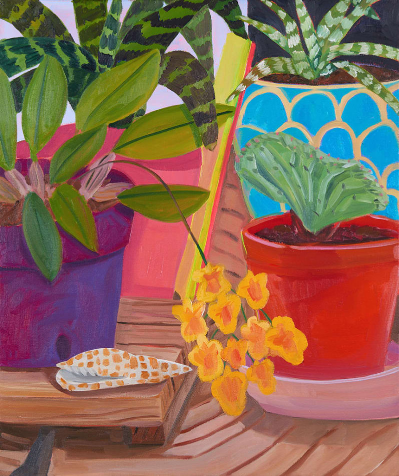Anna Valdez, Orchid with Colored Plexiglass, 2020