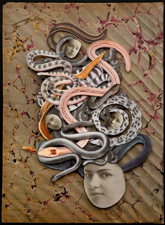 Hope Kroll, Medusa, 2019