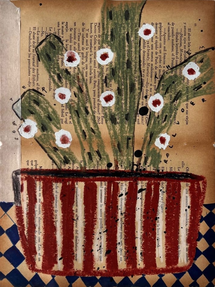 white flowers on a green plant in a red and white striped vase