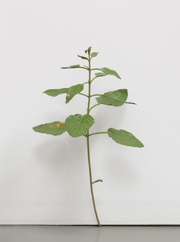 sculpture of realistic looking weed