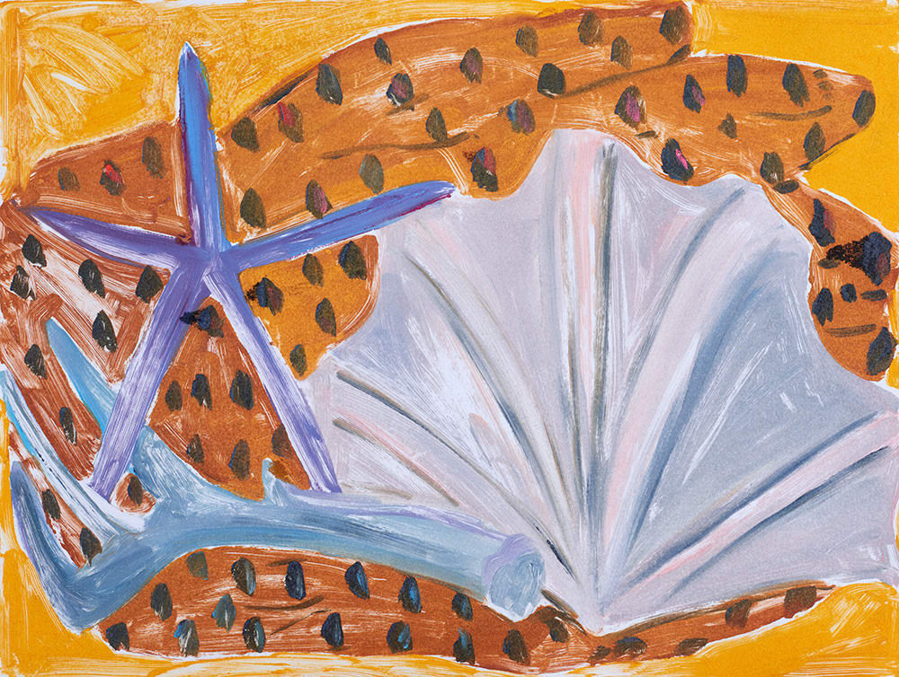 Anna Valdez, Shells and Pattern, 2019