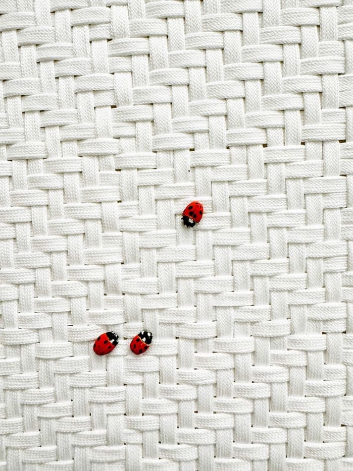 Large shoelace weaving w/ ladybugs Didi Rojas