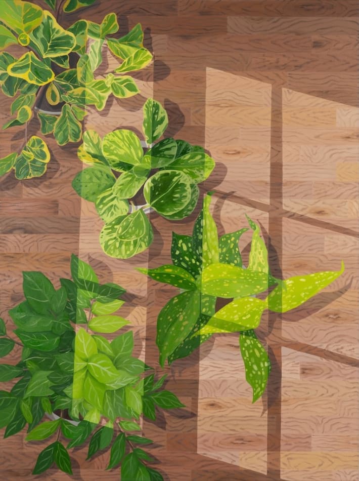 Natalia Juncadella painting of green plants on wooden floor with window shadows cast over them
