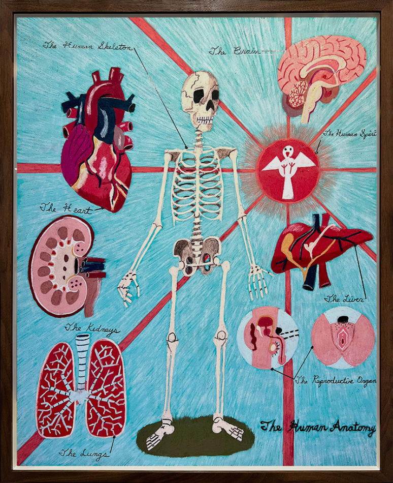 drawing by artist James Eddy depicting a skeleton and various human organs