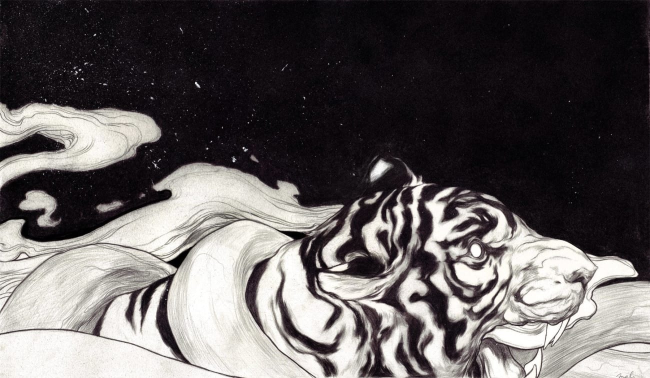 Nimit Malavaria graphite drawing of tiger