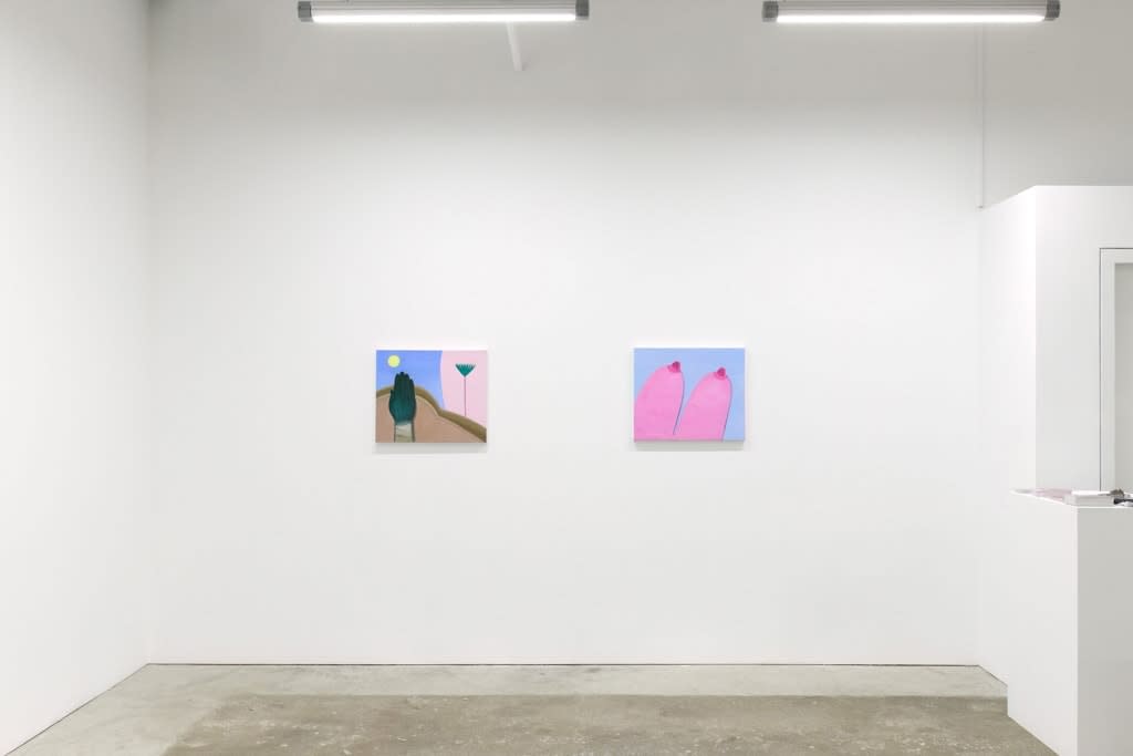Installation photo from Maiden by Corey Lamb, left to right, 