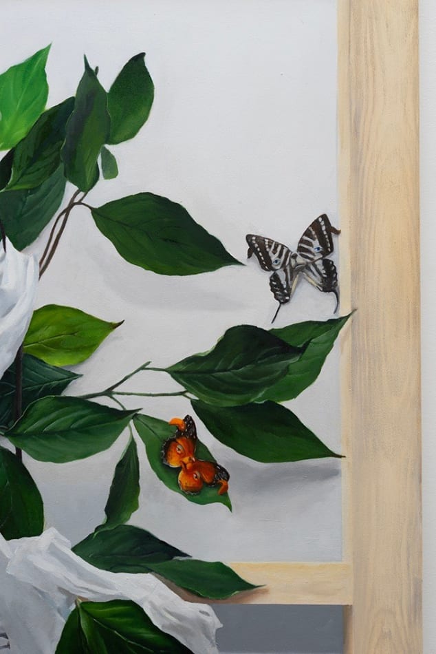 detail view of dog butterfly