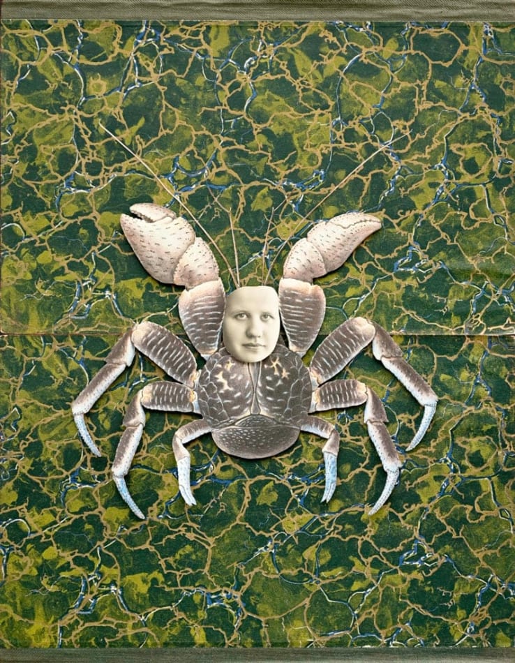Hope Kroll, L'Imposteur, 2019