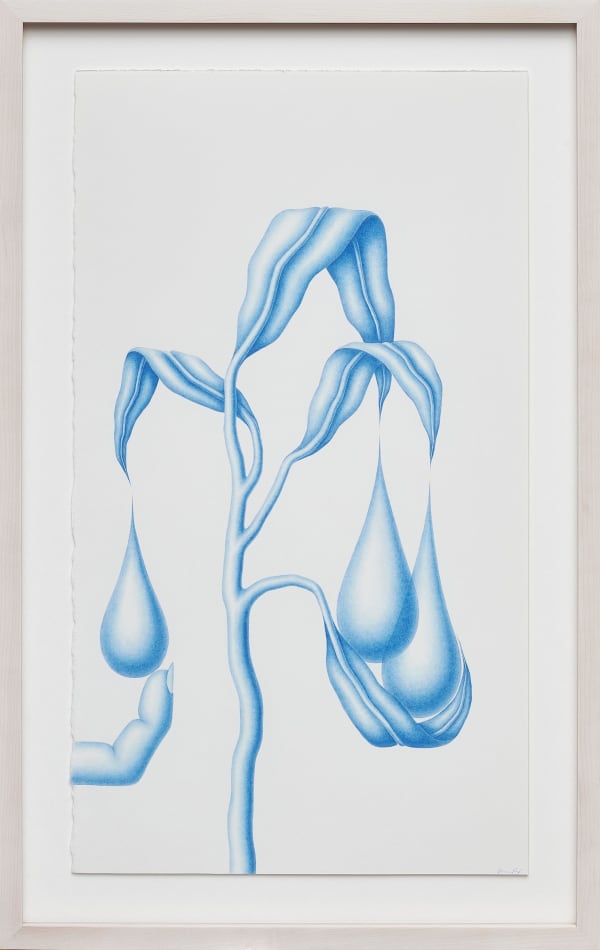 Devra Fox's drawing of a abstract shape in blue pencil