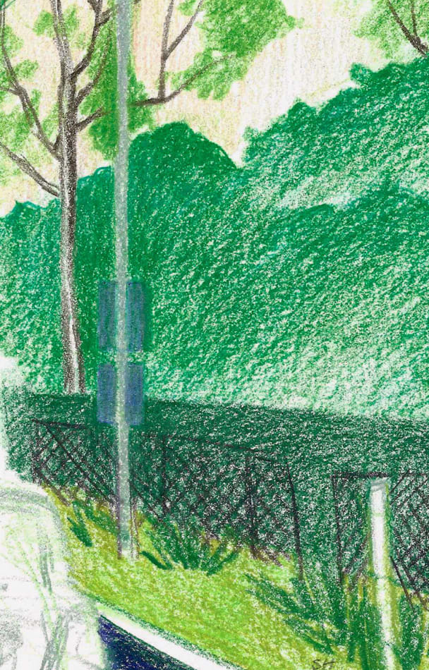 sketch lush greenery and a black fence