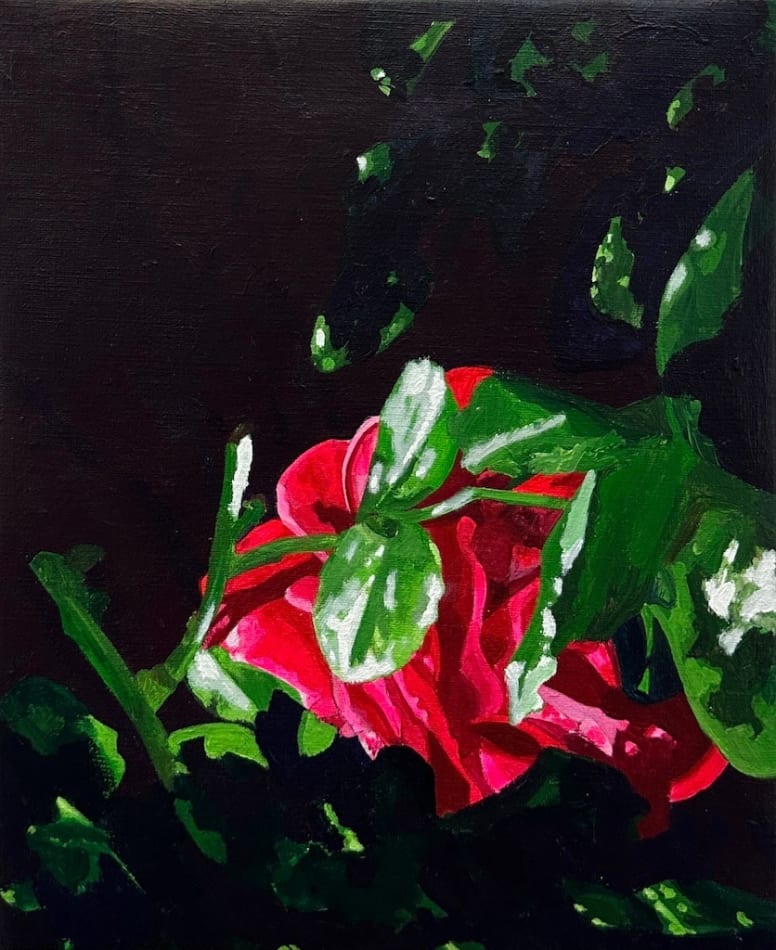 painting of flora with brigh red flower petals over a dark background